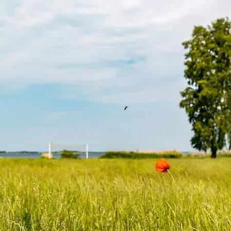 Botel Floating At Harbor By Kuhnle-tours *
