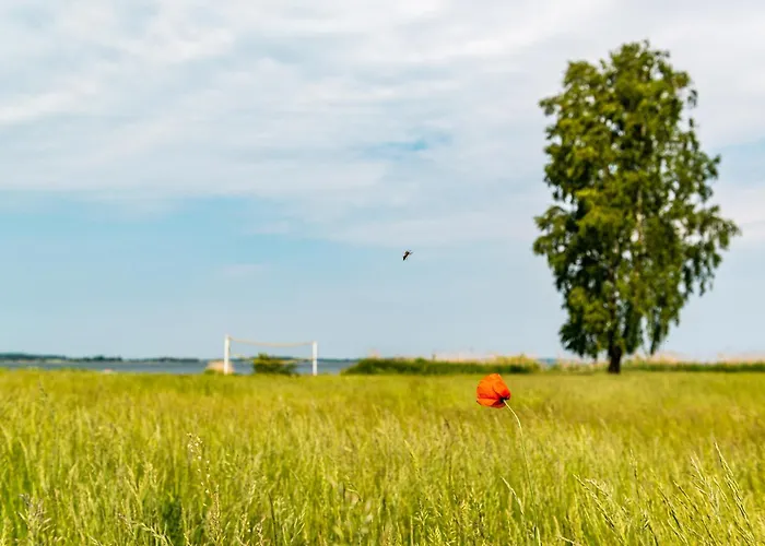 船上ホテル Floating At Harbor By Kuhnle-tours *